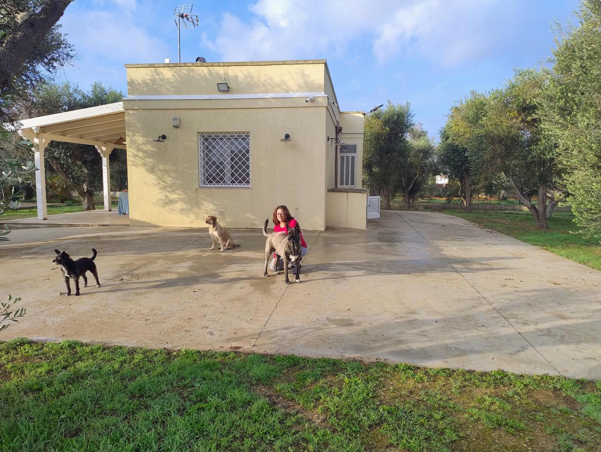Villa Mios Muro Leccese Exterior photo